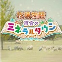 网站SEO推广有用吗？全面揭秘网站SEO推广的价值与策略