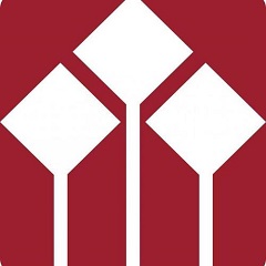 探索关键词SEO优化服务的全新高度