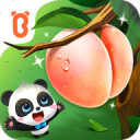 网站SEO培训课程：助力你的网站迈向顶峰