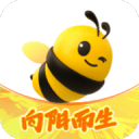 SEO1网站查询：提升网站排名的最佳秘诀