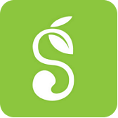 SEO排名优化公司：提升您网站的在线可见度与流量