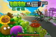 网络营销SEO：助你品牌在互联网时代大放异彩