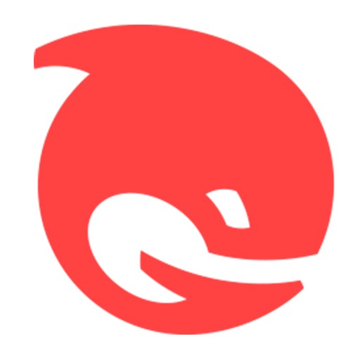 上海专业SEO：助力企业在数字化时代腾飞