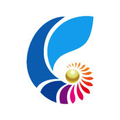 北京SEO排名首页：全面提升你的网站流量与业务增长