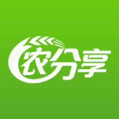 SEO网络推广到底是做什么的？解析与实践