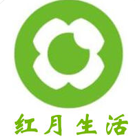 揭秘SEMSEO：数字营销的新兴力量
