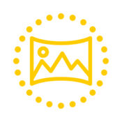 织梦SEO排名：助力您的网站在互联网上翱翔