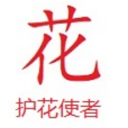 SEO具体优化流程有哪些