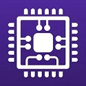 SEO排名和收录：提升你网站的在线可见度和流量