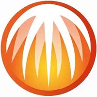 提升网站有效的SEO排名：从基础到高级策略