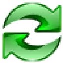 上海专业SEO：助力企业在数字化时代腾飞