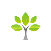 建站优化SEO排名：提升网站流量的关键策略