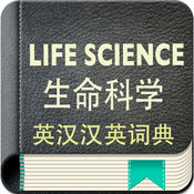 官网SEO优化：让您的官网在搜索引擎中耀眼闪耀