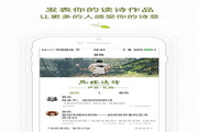 提升你的网站排名：SEO网站优化的全面指南