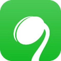 深入了解沈阳SEO优化：提升你的网站排名的软文
