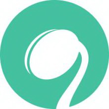 SEO案例模板排名：打破常规，提升网站流量的成功之道