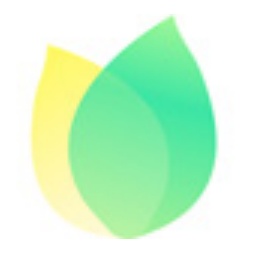 SEO优化内容：提升网站流量的关键策略