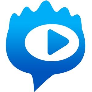 掌握SEO软件推广排名：提升网站流量与品牌影响力