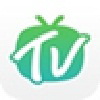 温岭SEO排名价格：让您的企业在互联网上焕发新生