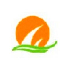 揭秘亚马逊的SEO推广：提升你的电商产品竞争力